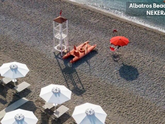 Albatros Beach photo 3