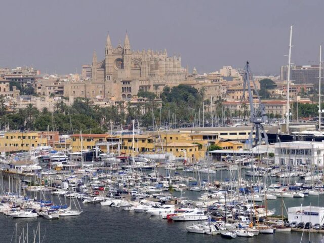 Palma Bellver by Melia photo 1