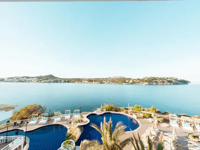 Sentido Fido Punta del Mar