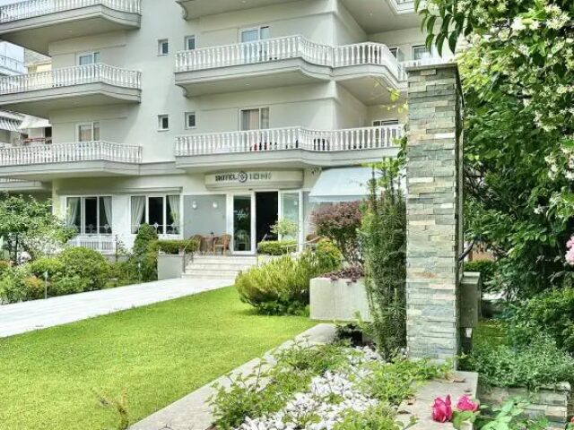 Ioni photo 3