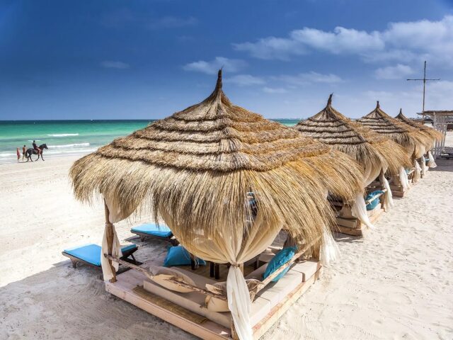 Club Palm Beach photo 3