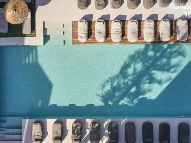 Contessina photo 1