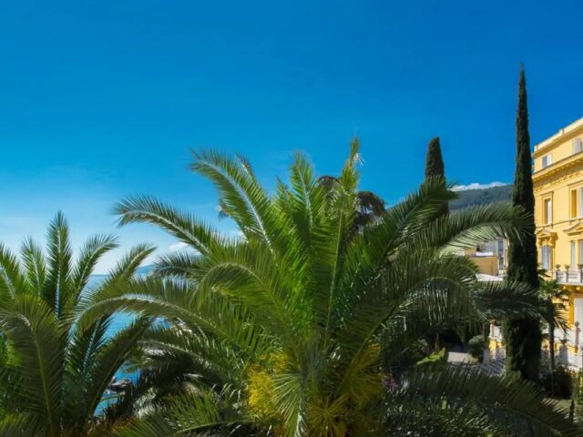 Vila Amalia photo 0