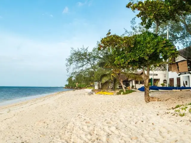 Serena Beach & Spa photo 3