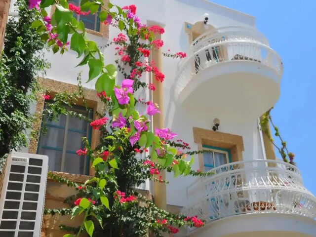 Hotel Siesta Beach Apart Gumbet photo 0