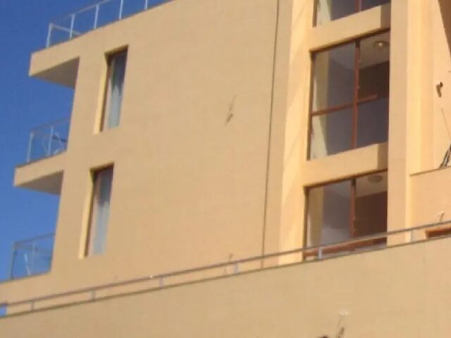 Coop photo 2