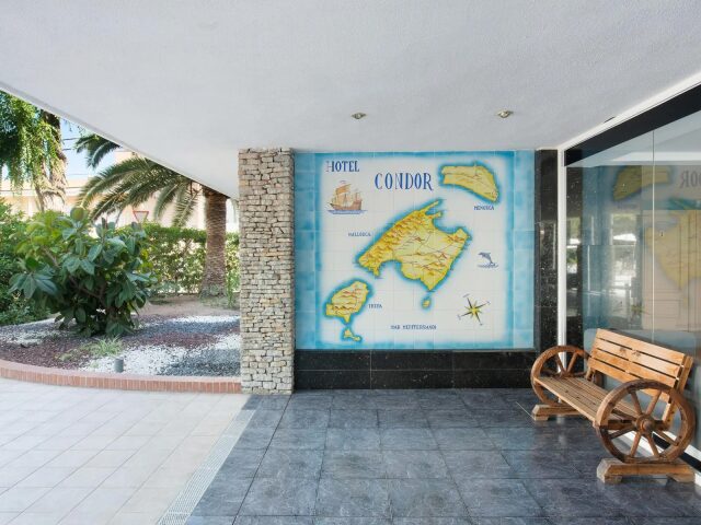 Condor photo 1