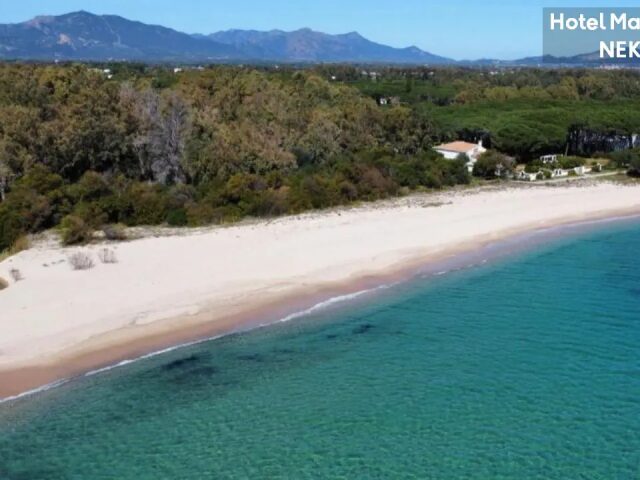 Mare Pineta photo 2