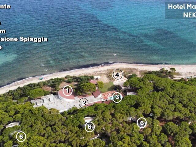 Mare Pineta photo 3