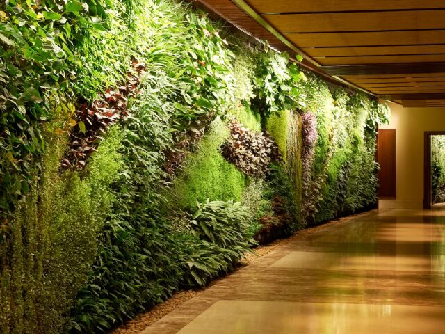 Sofitel Dubai The Palm Resort & Spa photo 2