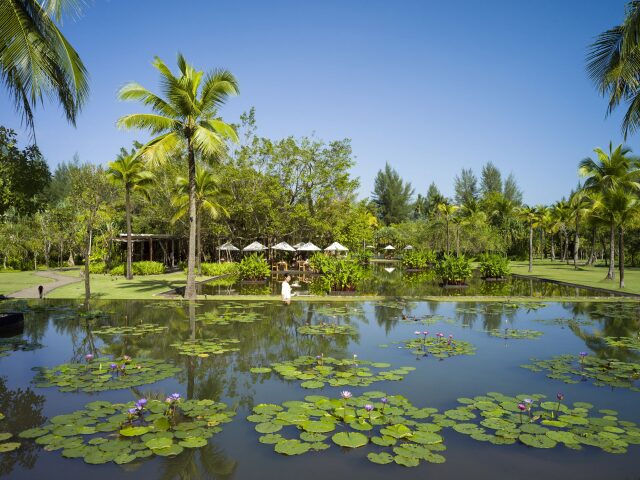 The Sarojin photo 0