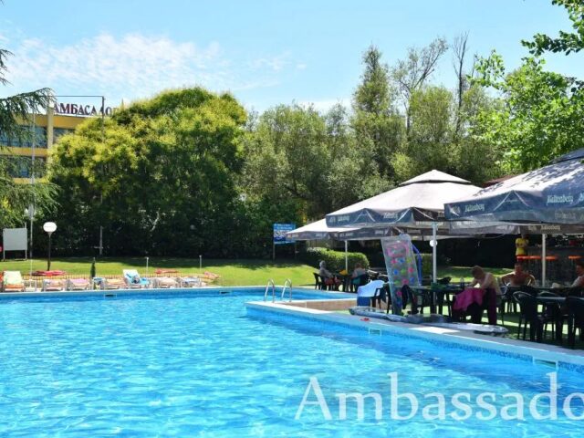 Ambassador