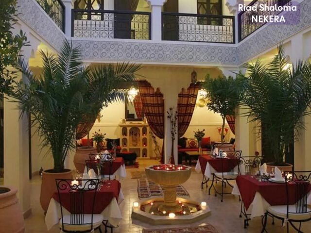 Riad Shaloma photo 3