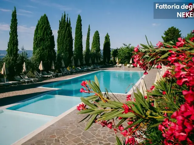 Fattoria Degli Usignoli photo 3