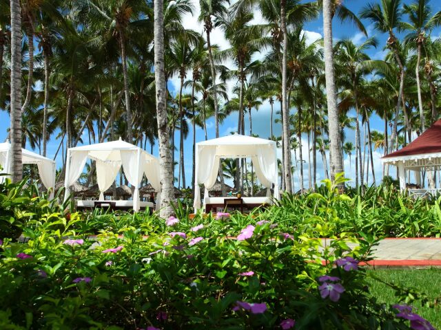 Luxury Bahia Principe Bouganville photo 1