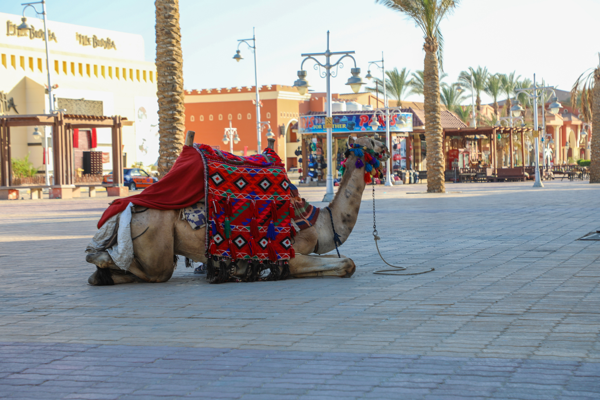 El Dahar, Hurghada