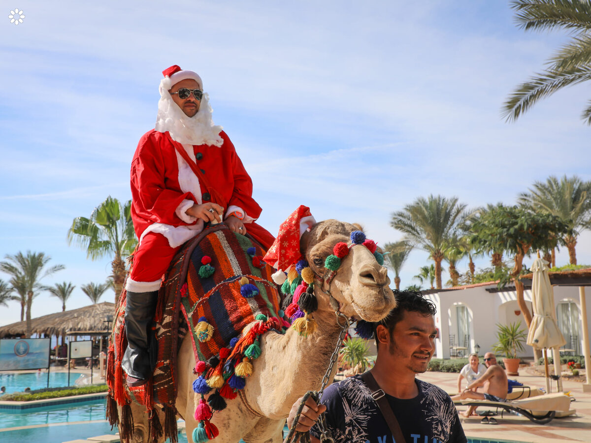 Hurghada, Szarm el-Szejk czy Marsa Alam zimą, który kurort wybrać