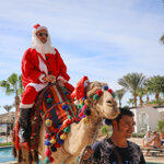 Hurghada, Sharm el-Sheikh or Marsa Alam: Where to Go in Winter