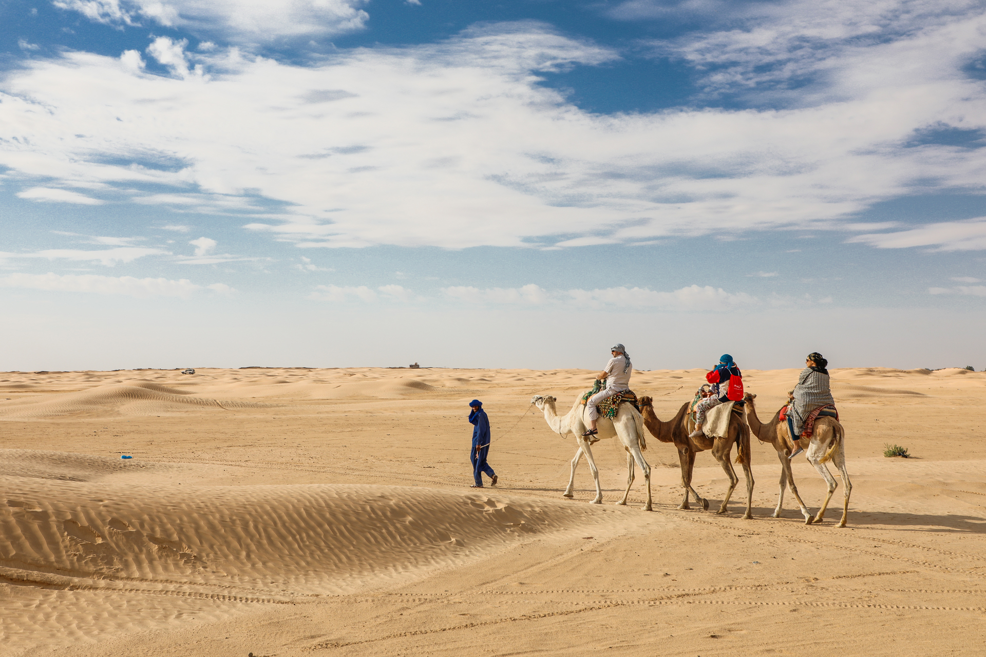 Tunezja, Sahara