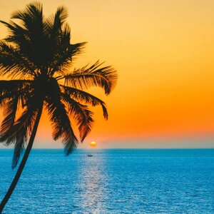 Where is it warm in January: 10 destinations with sea above 25°C